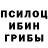 Псилоцибиновые грибы мицелий sasha okynew