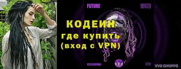 сатива Дмитриев