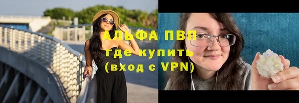 сатива Дмитриев