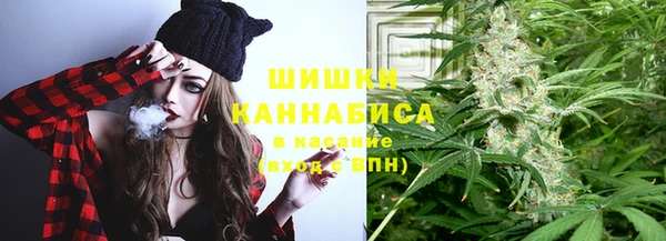 сатива Дмитриев