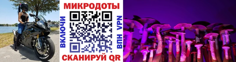 Галлюциногенные грибы Psilocybine cubensis  Купить где  Медногорск 